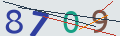 verifycode
